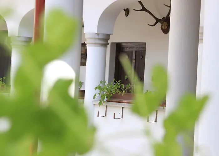 B&B Eden Panzio