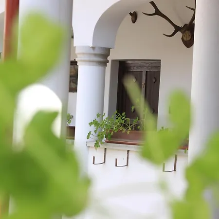 Bed and Breakfast Eden Panzio